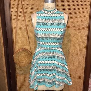 Printed Topshop Skater Dress with Pockets